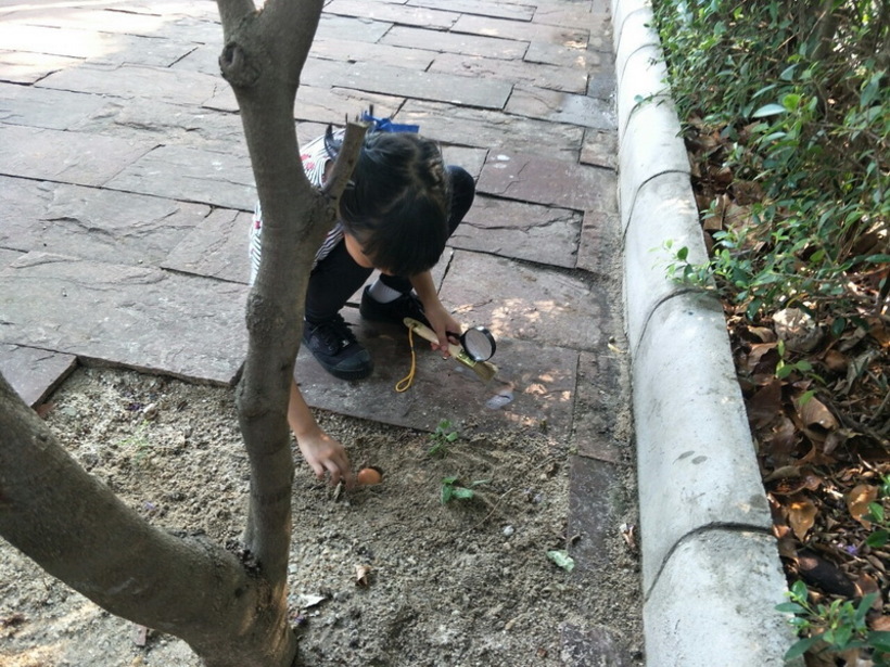 ฟอตซิลไข่.#LP_190426_0018_resize