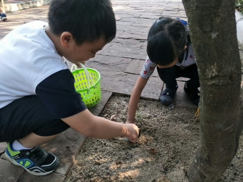ฟอตซิลไข่.#LP_190426_0019_resize