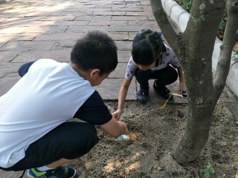 ฟอตซิลไข่.#LP_190426_0020_resize