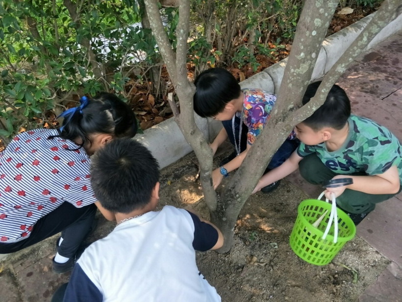 ฟอตซิลไข่.#LP_190426_0021_resize