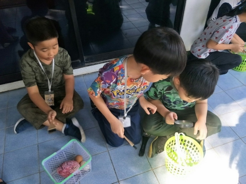 ฟอตซิลไข่.#LP_190426_0022_resize