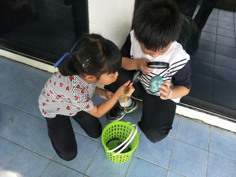 ฟอตซิลไข่.#LP_190426_0023_resize