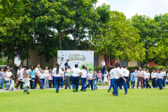 P1403453