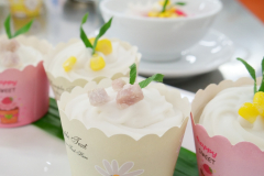 LINE_ALBUM_2026.1.26-_2_260126_55