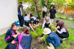 LINE_ALBUM_25269_260225_10