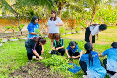 LINE_ALBUM_25269_260225_11