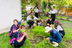 LINE_ALBUM_25269_260225_12