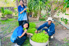 LINE_ALBUM_25269_260225_7