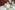IMG_9070_resize