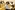 IMG_8278_resize