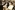 IMG_8288_resize