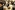 IMG_8295_resize