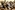 IMG_8308_resize