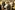 IMG_8322_resize