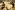 IMG_8323_resize