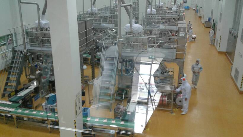 265508