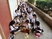 รปศ._180227_0009