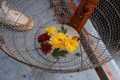 179_resize