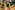 AP7A9736_resize