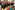 AP7A9786_resize