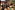 AP7A9797_resize