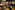 AP7A9824_resize