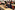 AP7A1142_resize