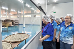 536013374_1722983591976380_8541155806414691985_n