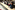 31_resize