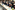 36_resize