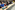 55_resize