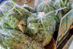 LINE_ALBUM_คลีนิกเกษตรไตรมาส-1-261268_251226_10