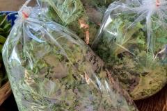 LINE_ALBUM_คลีนิกเกษตรไตรมาส-1-261268_251226_11