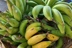 LINE_ALBUM_คลีนิกเกษตรไตรมาส-1-261268_251226_12