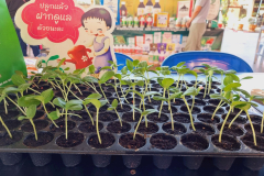 LINE_ALBUM_คลีนิกเกษตรไตรมาส-1-261268_251226_14