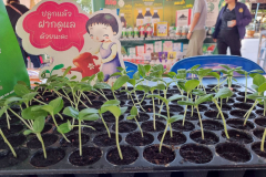 LINE_ALBUM_คลีนิกเกษตรไตรมาส-1-261268_251226_16