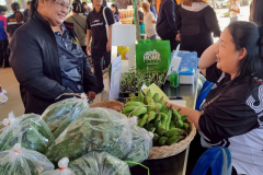 LINE_ALBUM_คลีนิกเกษตรไตรมาส-1-261268_251226_18