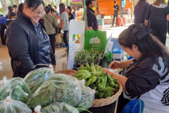 LINE_ALBUM_คลีนิกเกษตรไตรมาส-1-261268_251226_19