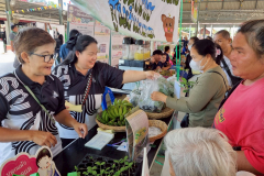 LINE_ALBUM_คลีนิกเกษตรไตรมาส-1-261268_251226_41