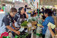 LINE_ALBUM_คลีนิกเกษตรไตรมาส-1-261268_251226_44