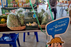 LINE_ALBUM_คลีนิกเกษตรไตรมาส-1-261268_251226_7