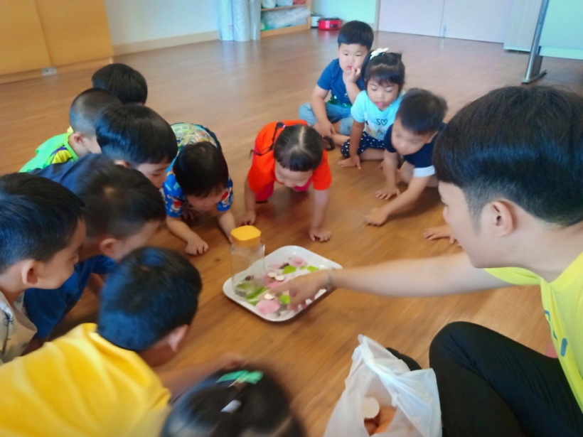 เปลือกไข่ไล่มด สุพรรณบุรี 29042562_190429_0002_resize