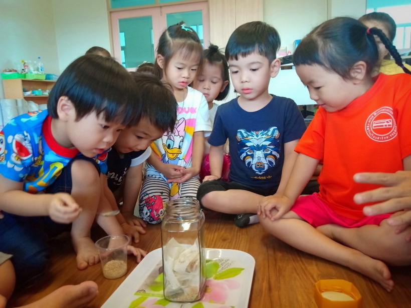 เปลือกไข่ไล่มด สุพรรณบุรี 29042562_190429_0048_resize