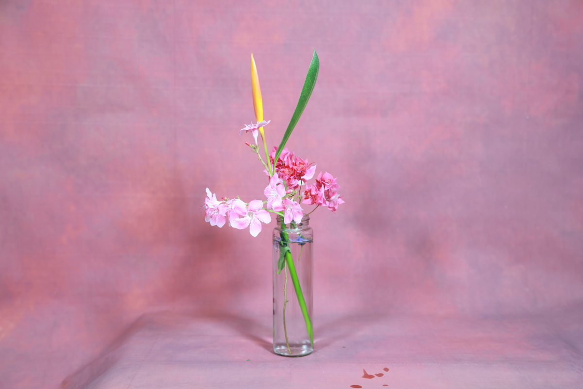 104_resize