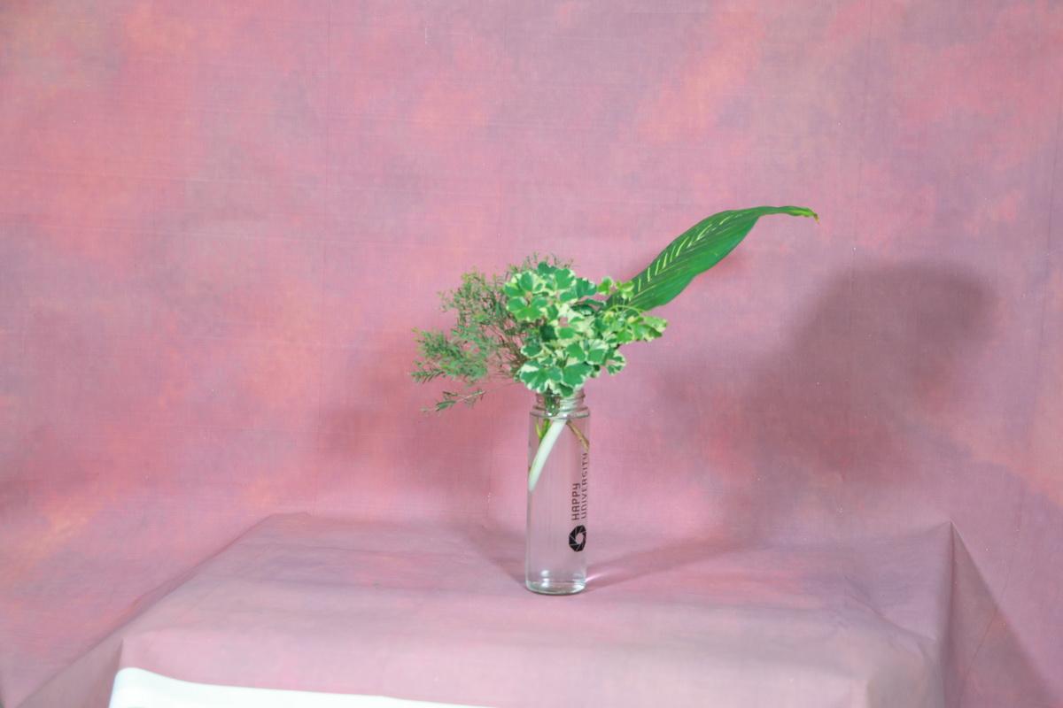 113_resize