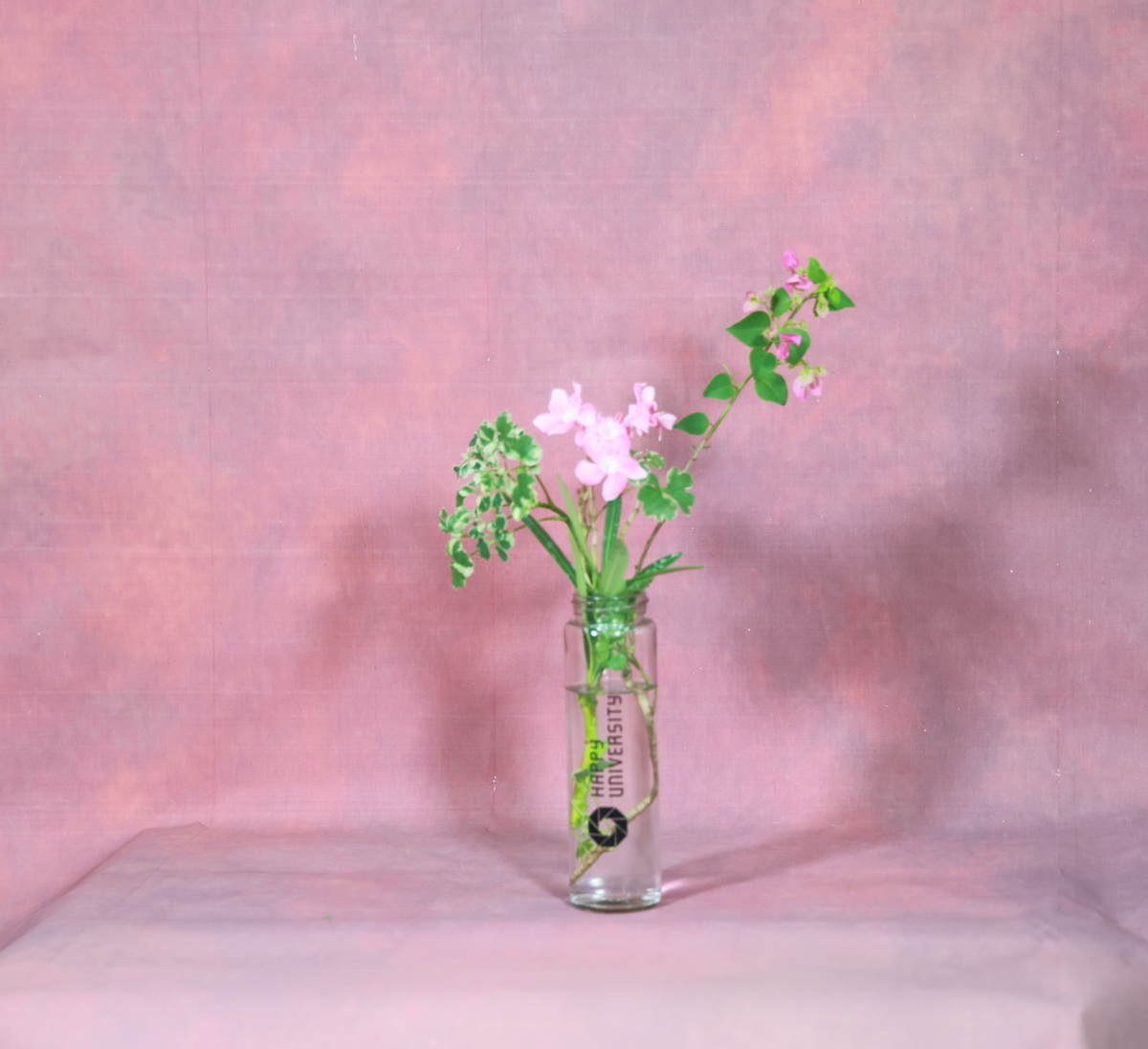 116_resize