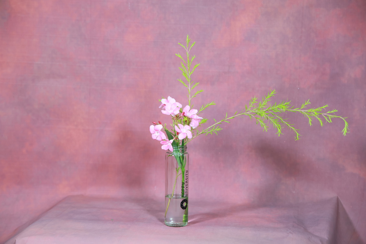 119_resize