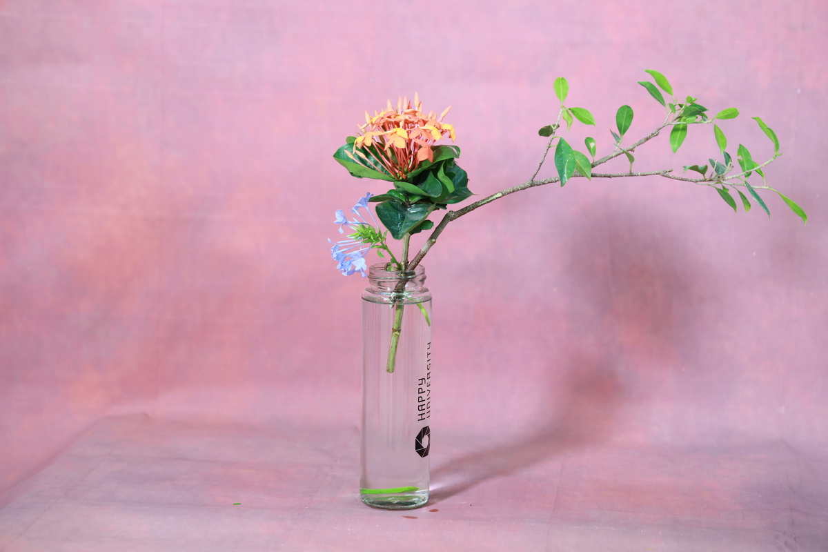 142_resize