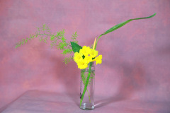 106_resize