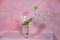 110_resize